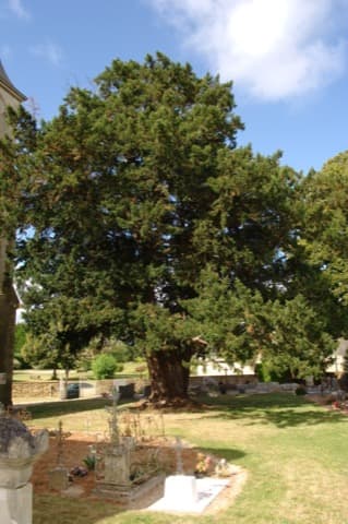 Couvreur Jauzé