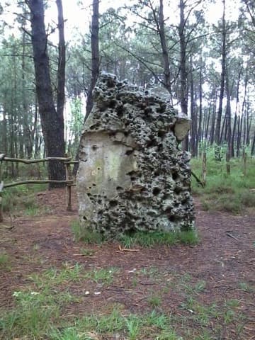Couvreur Saint-Jean-de-la-Motte